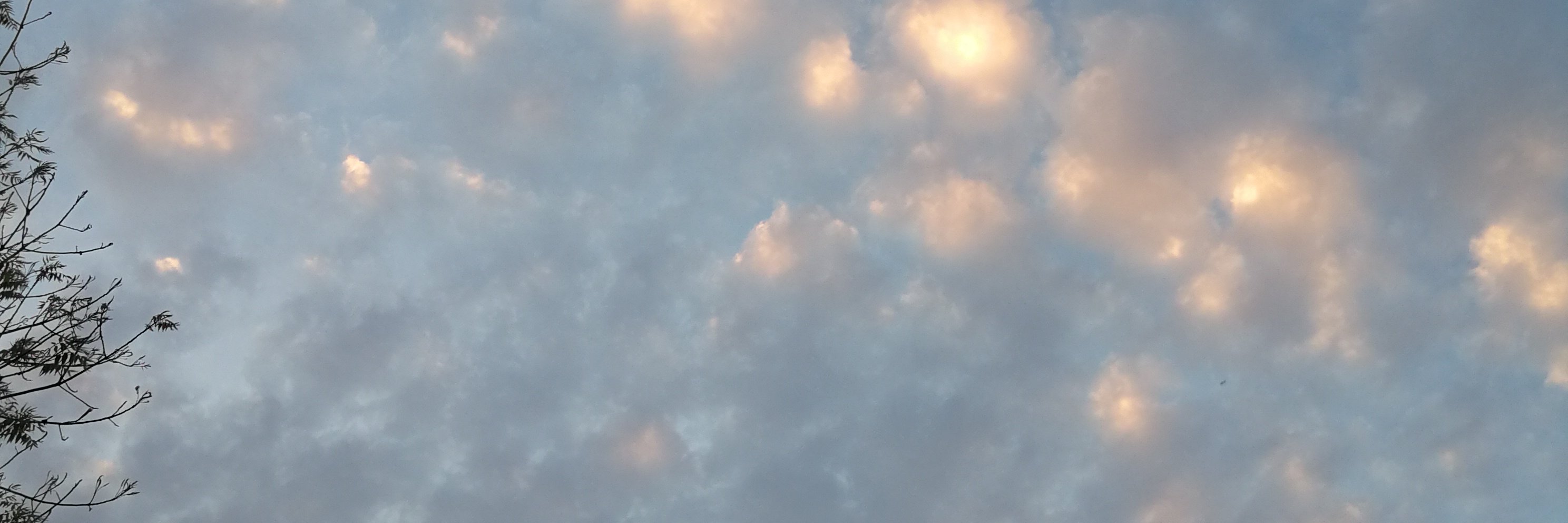 Lip_Lya's profile banner image