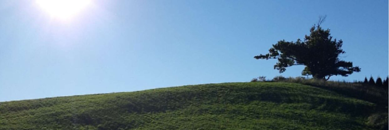 randyy97's profile banner image
