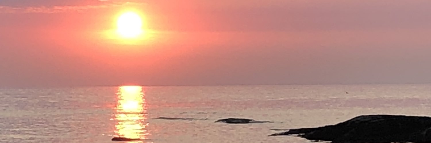 MarieCaroux's profile banner image