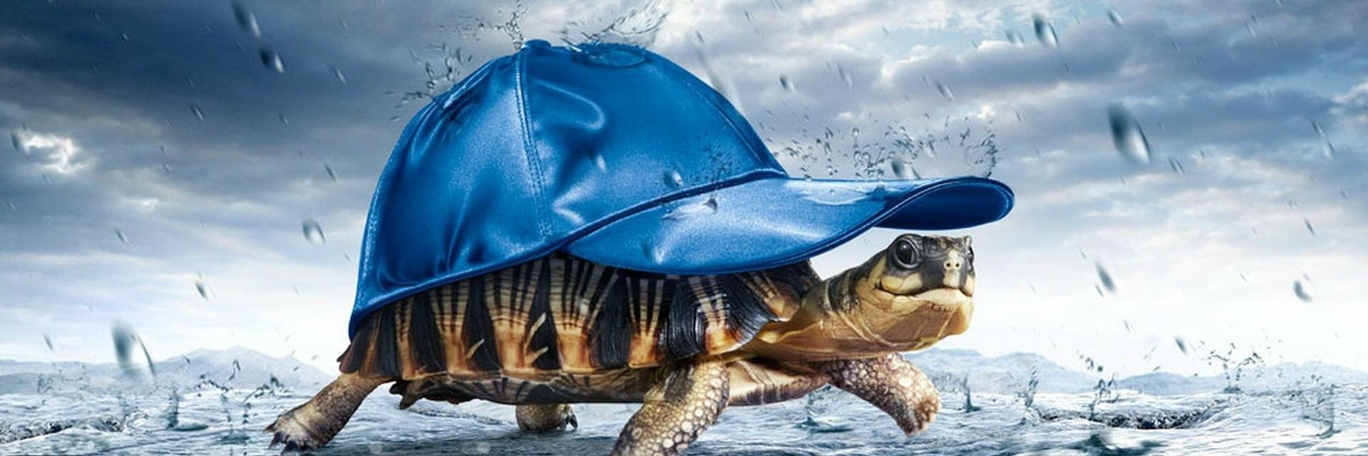 JLoupLL's profile banner image