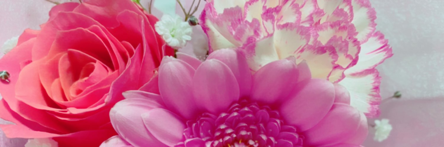 _Cocolotta_'s profile banner image