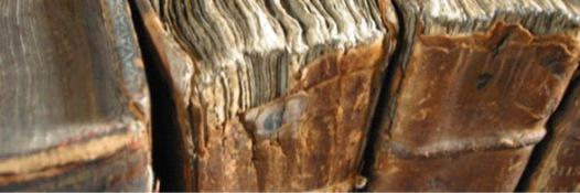 manu_lobe's profile banner image