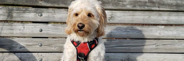 ethnicomm Profile Banner