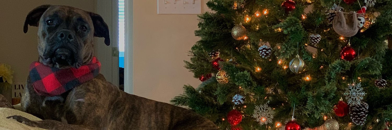 Des10e_14's profile banner image