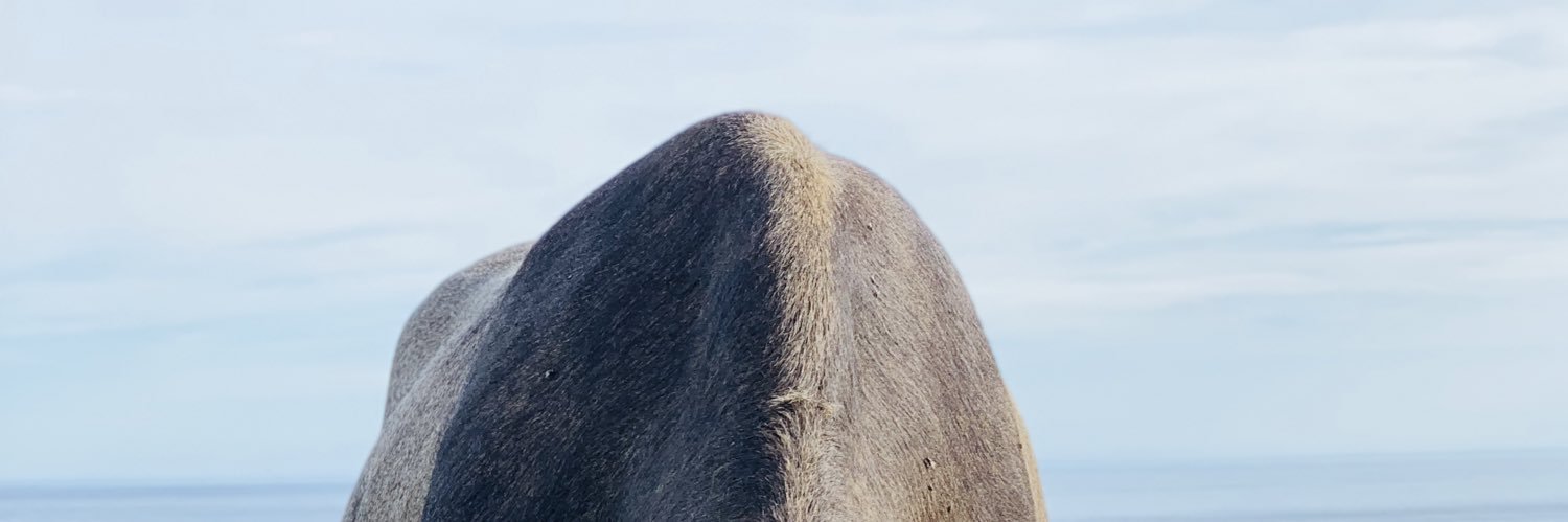 inf_00_'s profile banner image