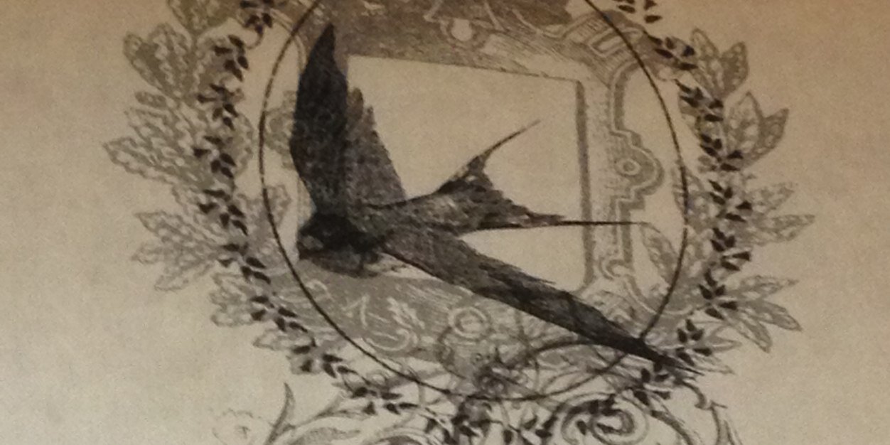 brirusc's profile banner image