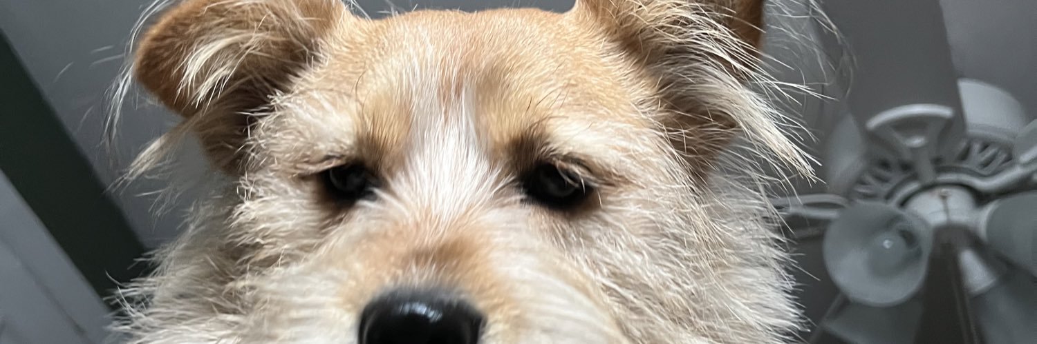 jackaaalack's profile banner image
