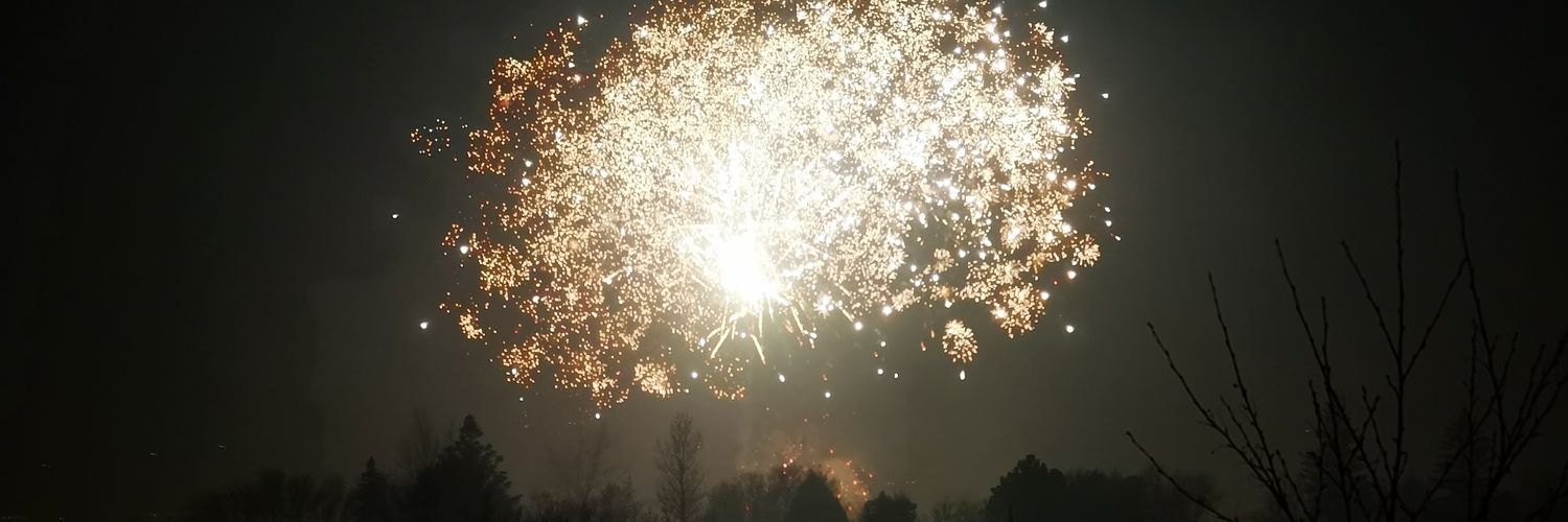 MisguidedSanity's profile banner image