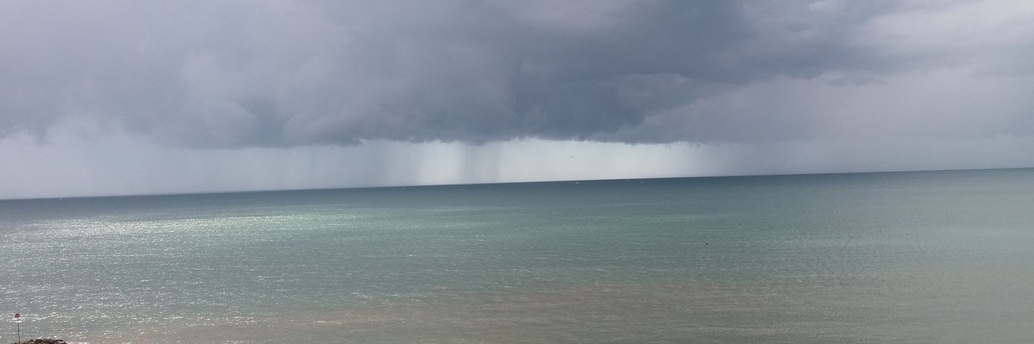 Rosemary Dunnill💙 banner