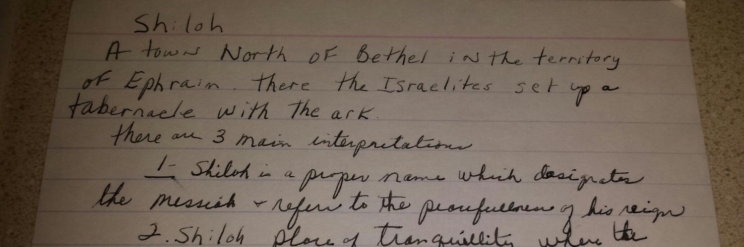 Shiloh Heesch, DC MS CCSP® banner