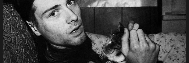 No, NOT THAT Brandon.M.🇵🇸.🏴. ☭.🍉 banner