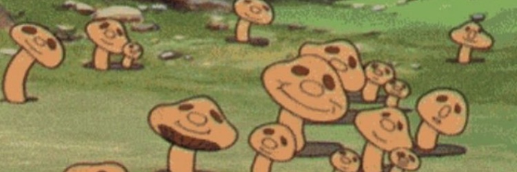 michael_de_rosa's profile banner image