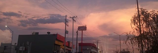 Ernesto banner