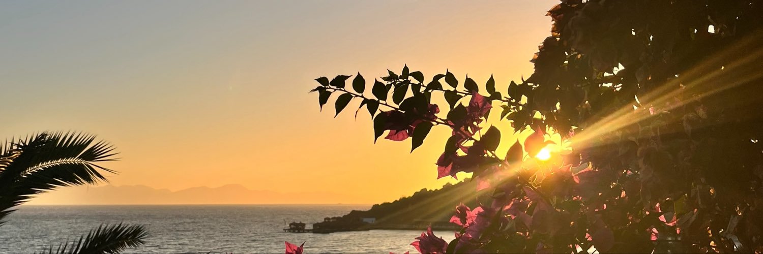 EdaSalt's profile banner image