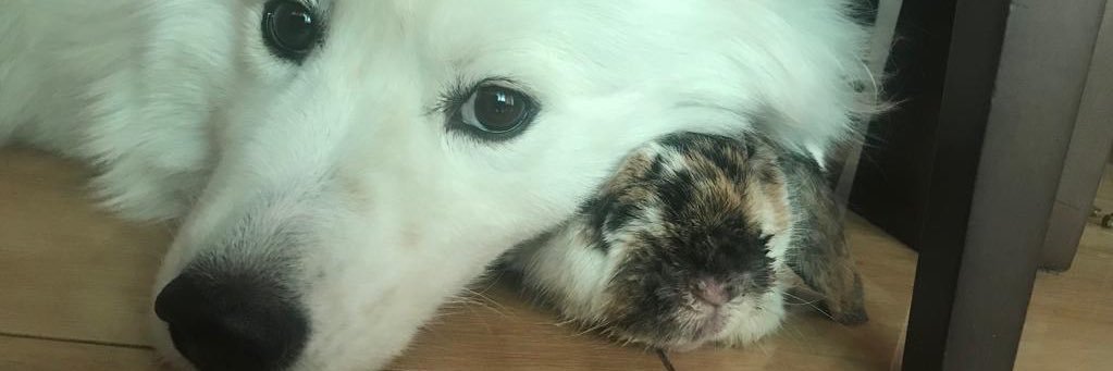 LittleMe_7's profile banner image