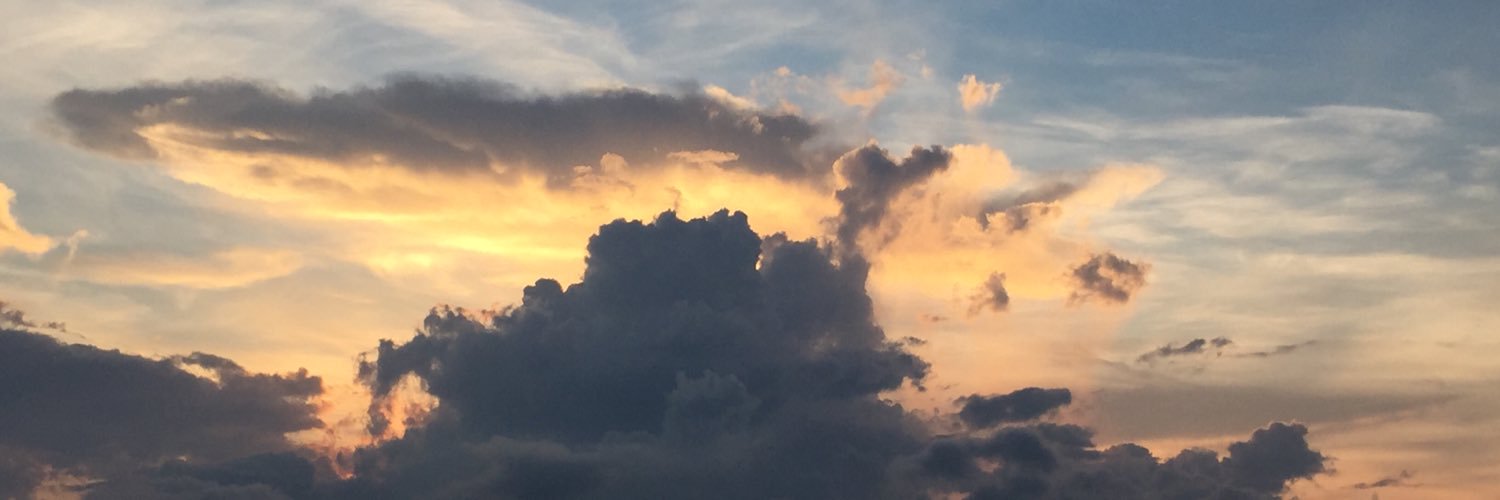 elsa_orbe's profile banner image