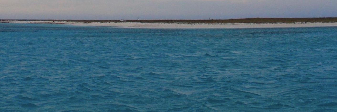 NotiVe Venezuela 🇻🇪🇺🇦 banner