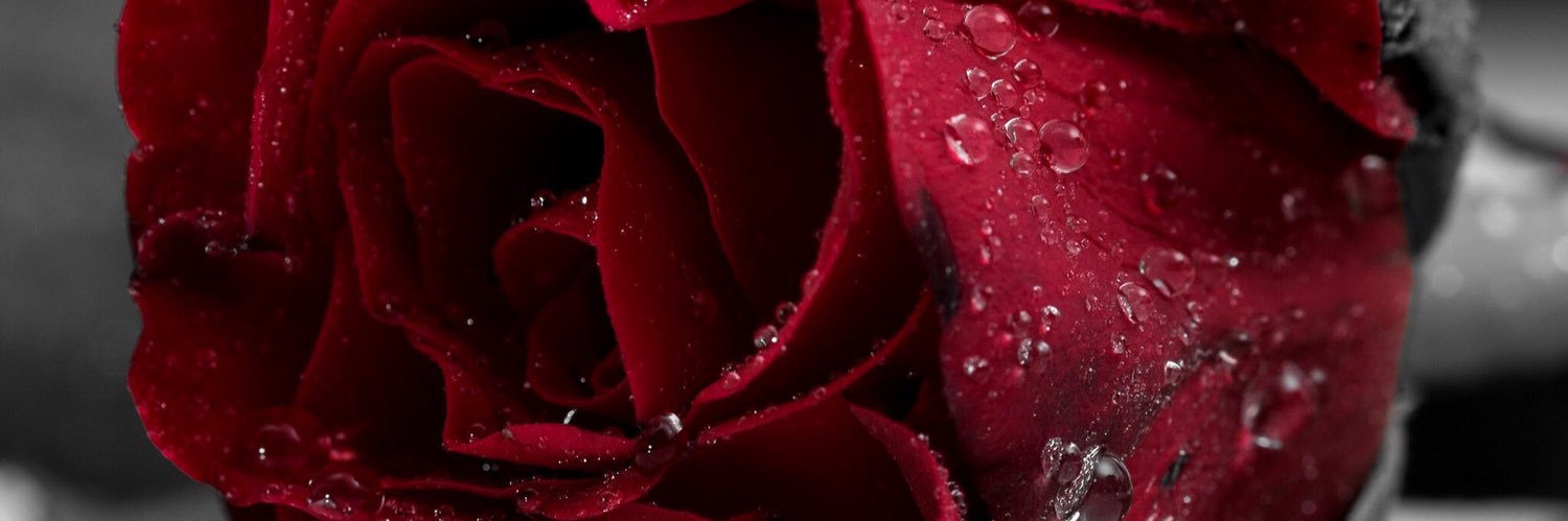 Iamada_ugo's profile banner image