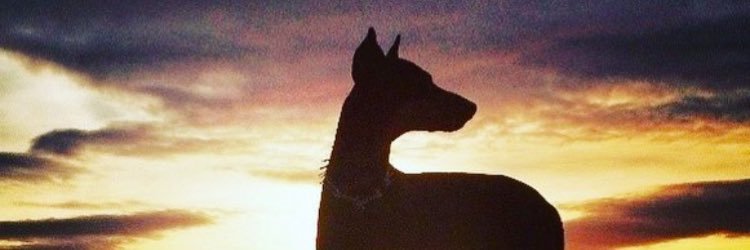 Eramirez613's profile banner image