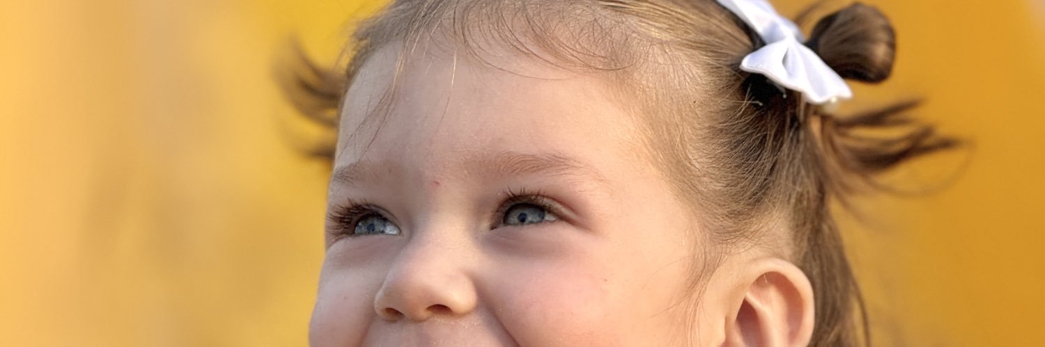 SofiaSandrone's profile banner image