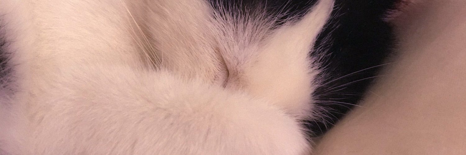 LaruRoca's profile banner image