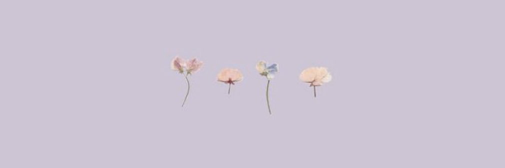 Madison_Summahs's profile banner image