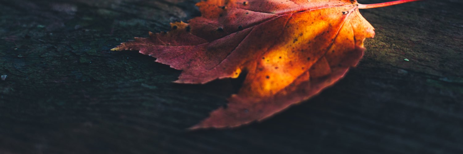Josh_Dutt's profile banner image