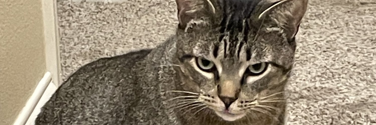 DGravy69's profile banner image