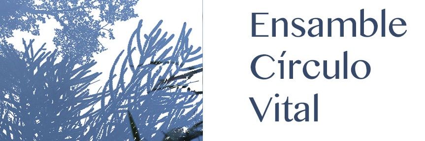 elfindelcirculo's profile banner image