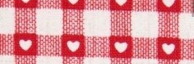 Sarah Campbell banner