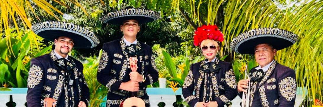 Mariachiarcoiri's profile banner image