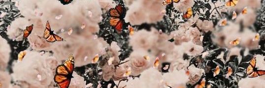 te_elete's profile banner image