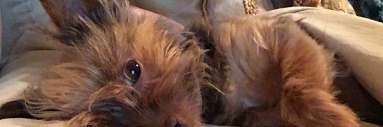 malarie_jo's profile banner image