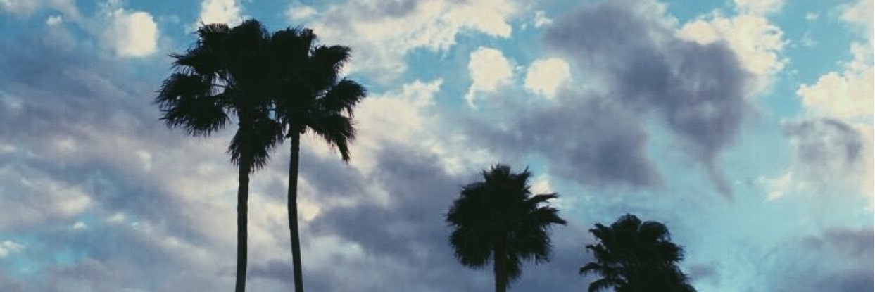 kfarey4's profile banner image