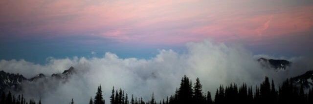 becausedestinee's profile banner image
