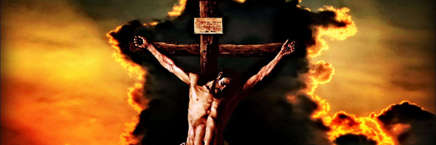 Mostly Calm Mrs. Struven 💜 banner