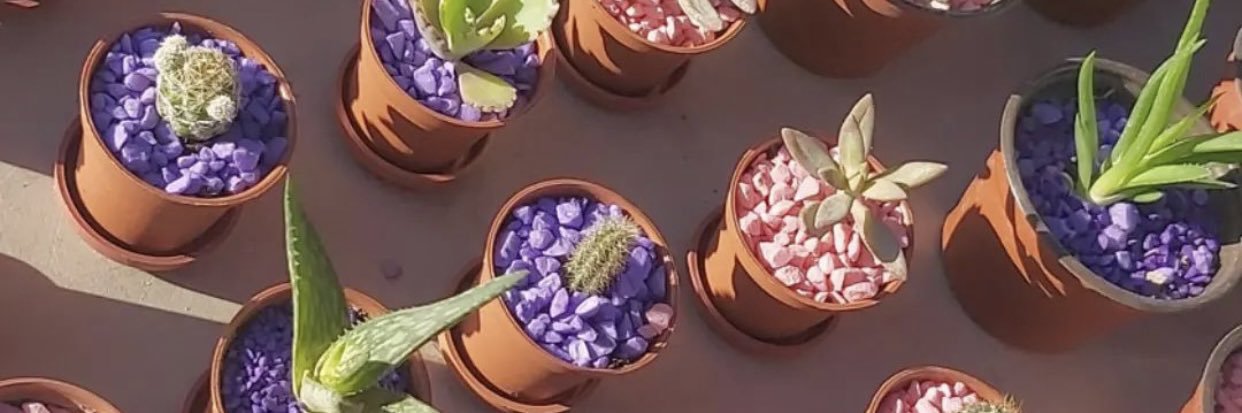 _Suseth14's profile banner image