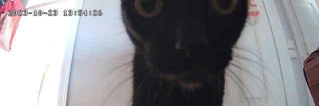 patacar's profile banner image