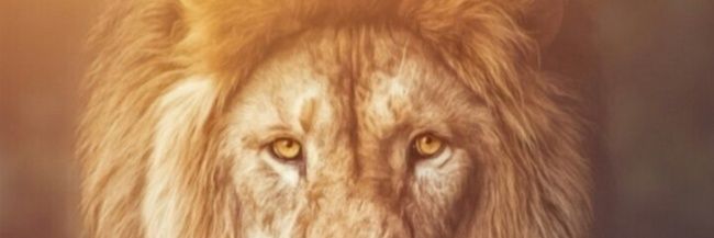 silvertimeline's profile banner image