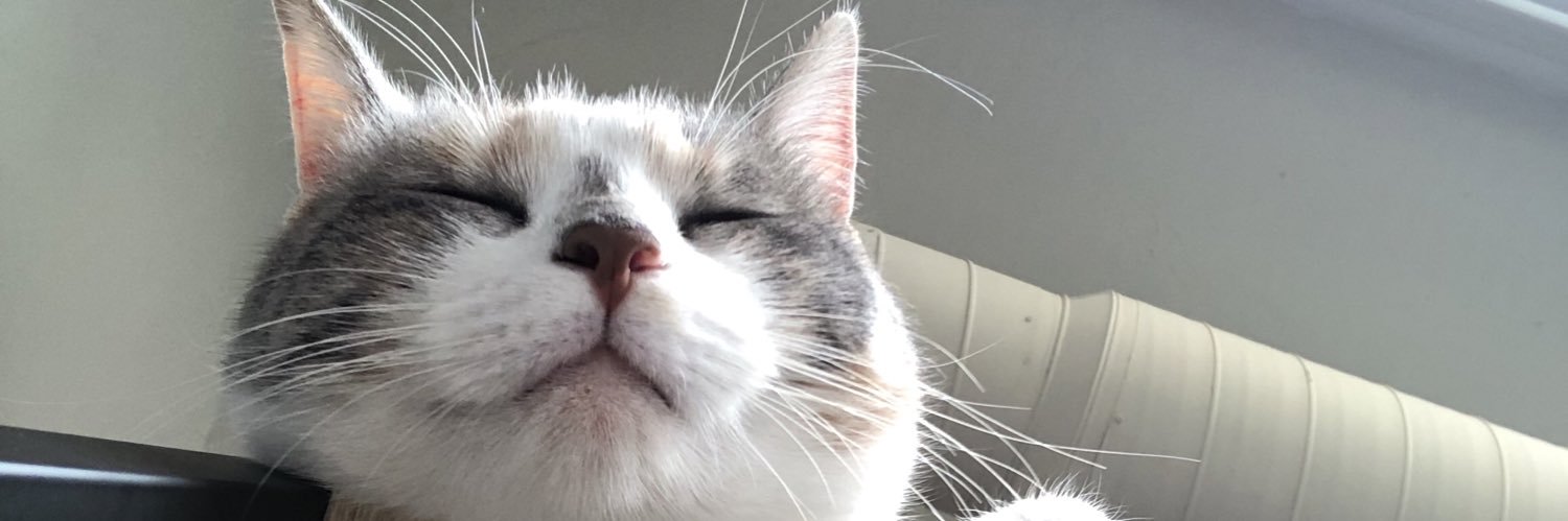 brizees_'s profile banner image