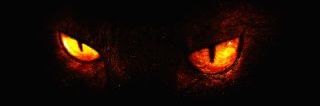 chrishunt77's profile banner image