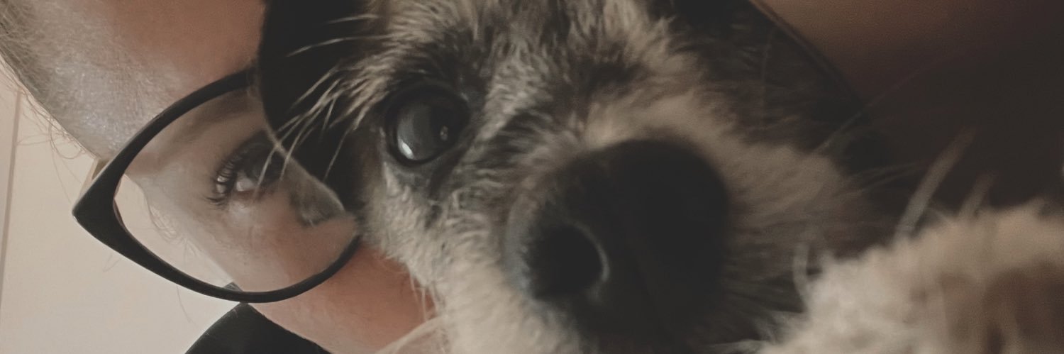 GuidaCarla's profile banner image