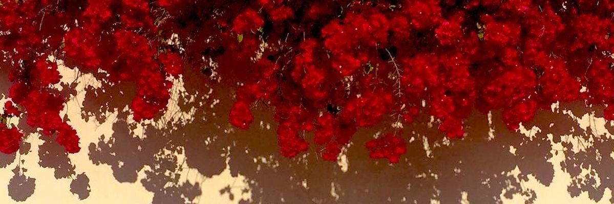 iaan9_'s profile banner image