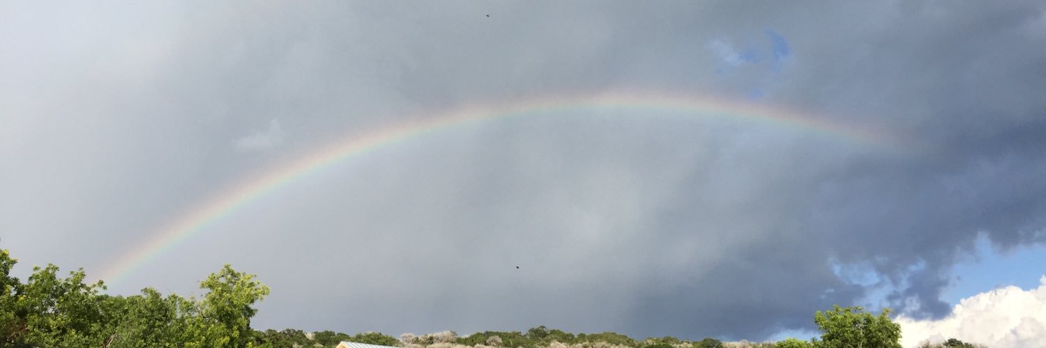 allisonlynette's profile banner image
