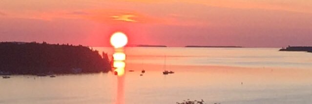 Sarahickling1 🇨🇦 banner