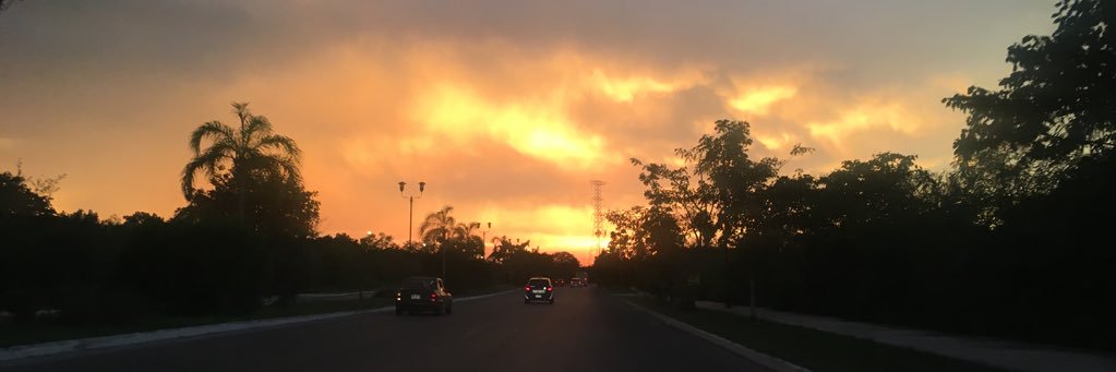 DanielaGJon's profile banner image