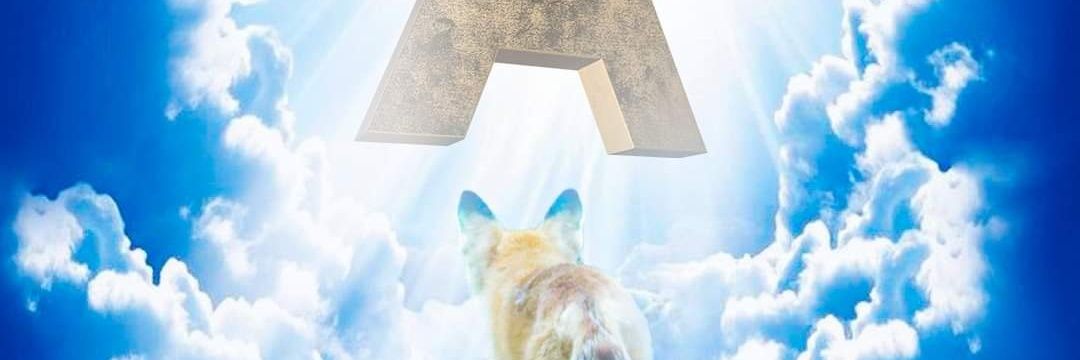 Edmar Fernandes banner