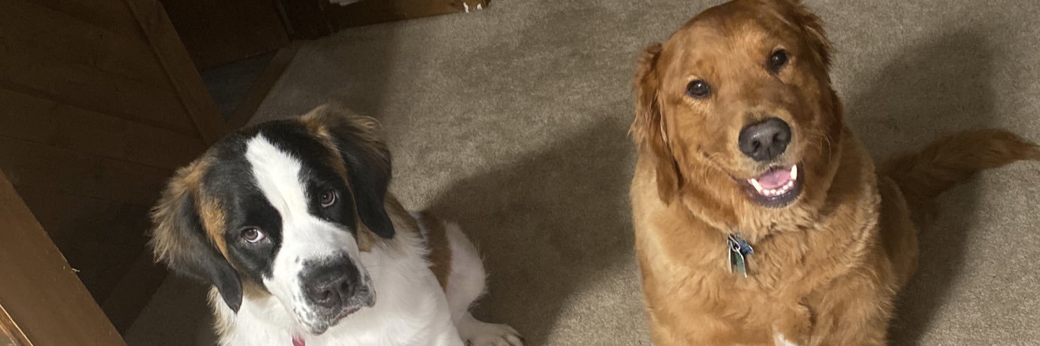 Thebelllsss's profile banner image