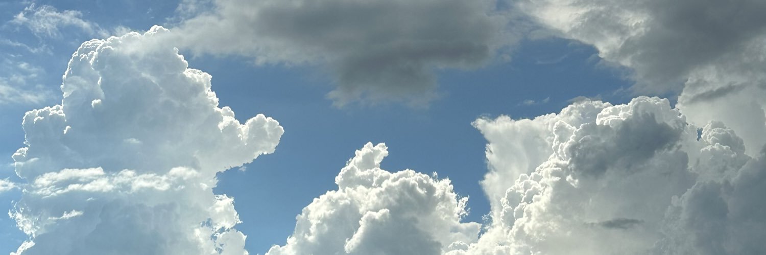 ottiki's profile banner image