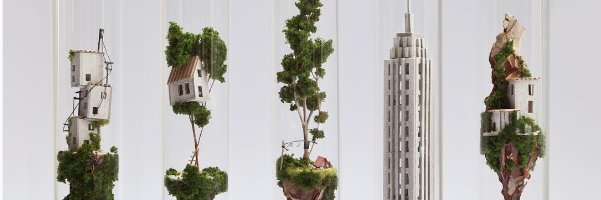 Meredith Doherty banner